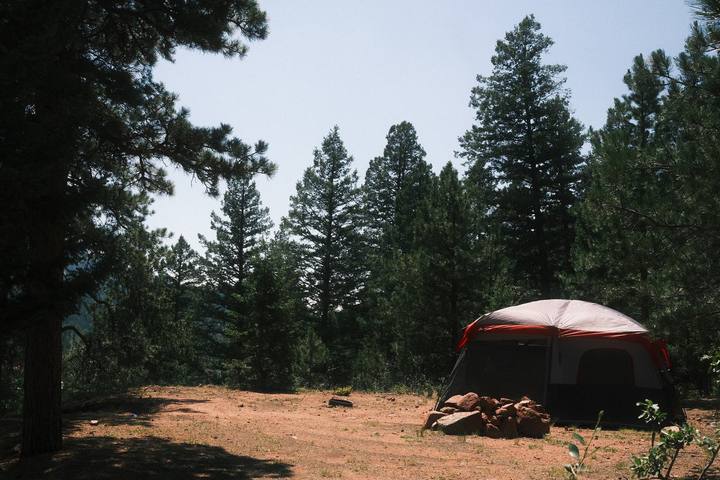 Tent campsite in the pines